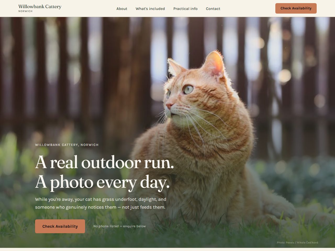 Homepage of the cattery site we built for Willowbank Cattery
